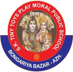 S.K.TINY TOYS PLAY MORAL PUBLIC SCHOOL